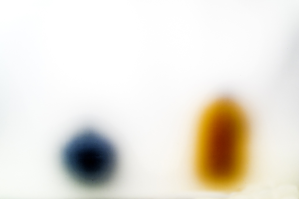 New Still Lives, 2019, by Nick Gammon